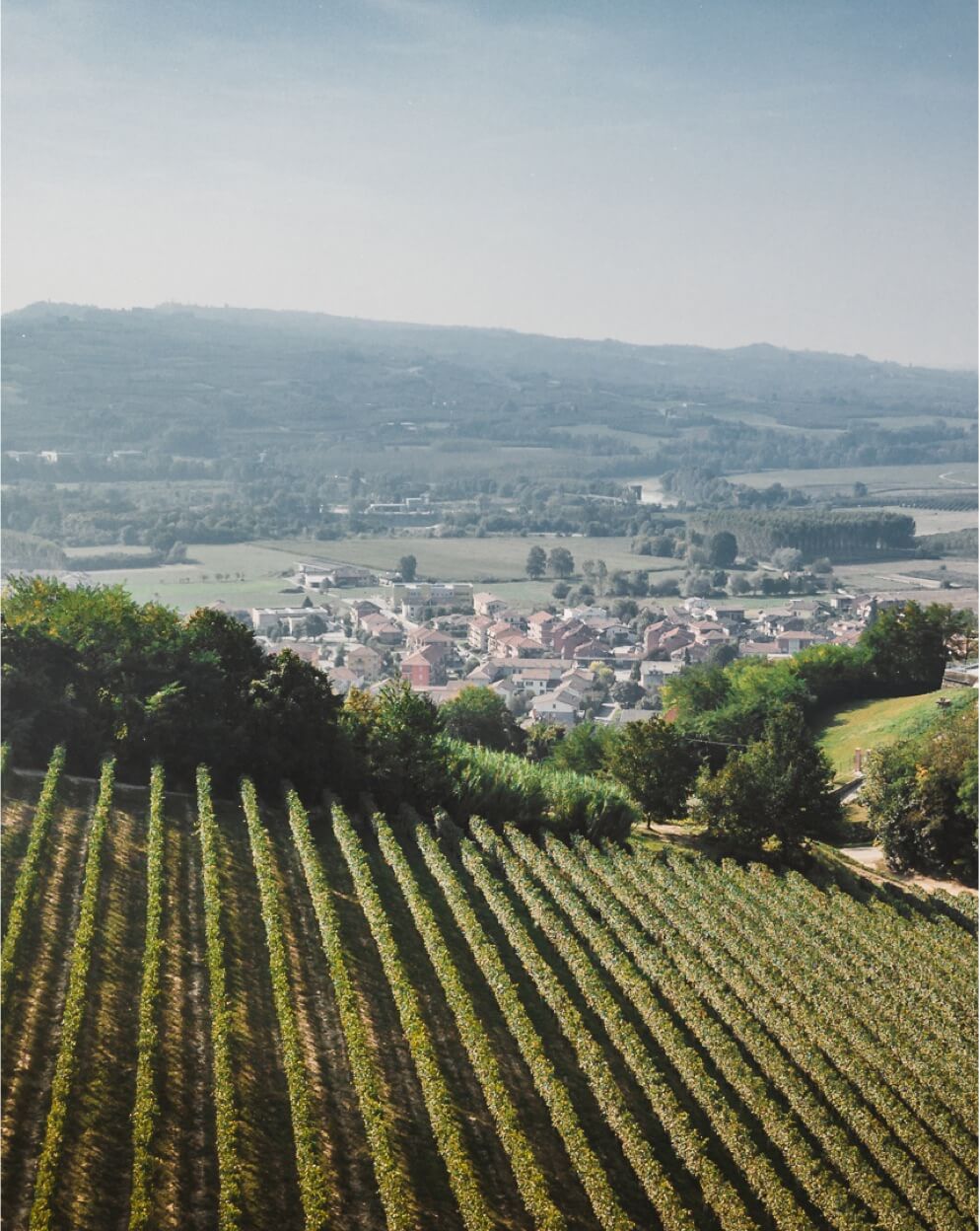 ilgottino-roero-territorio-vigne